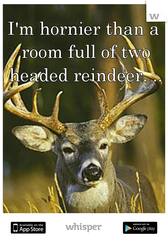 I'm hornier than a room full of two headed reindeer. ..