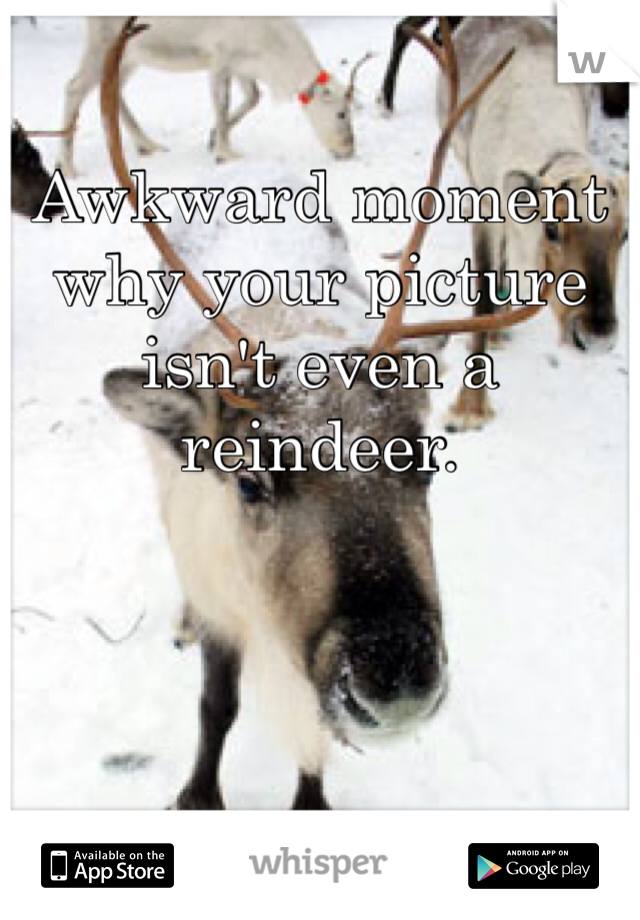Awkward moment why your picture isn't even a reindeer. 