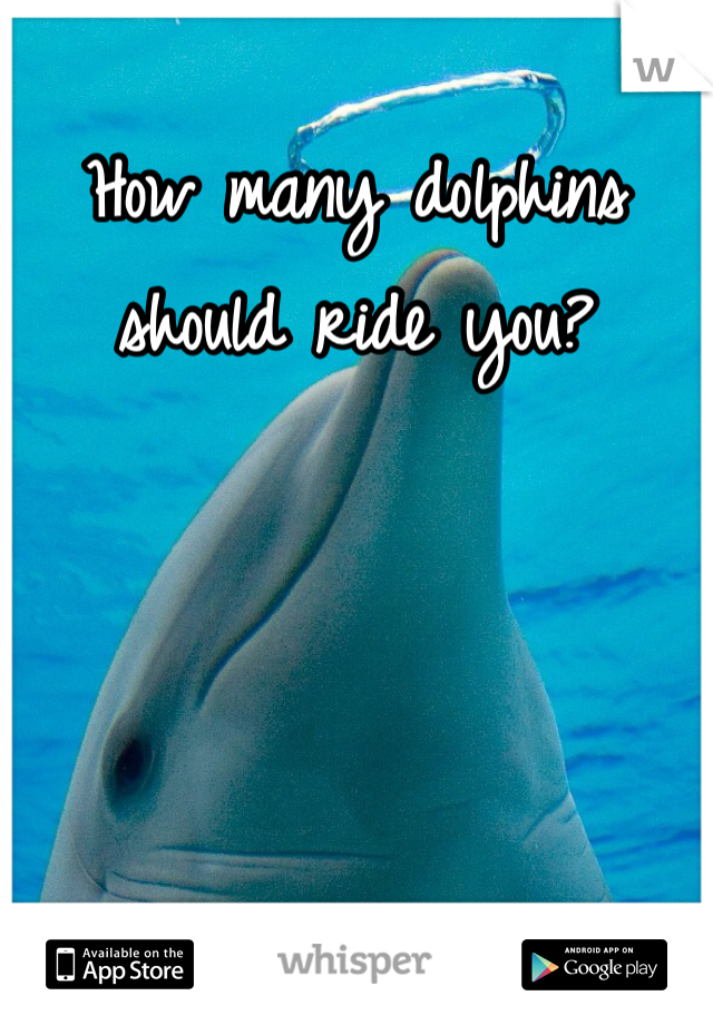 How many dolphins should ride you?