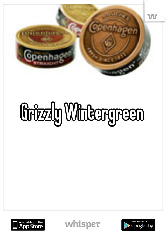 Grizzly Wintergreen