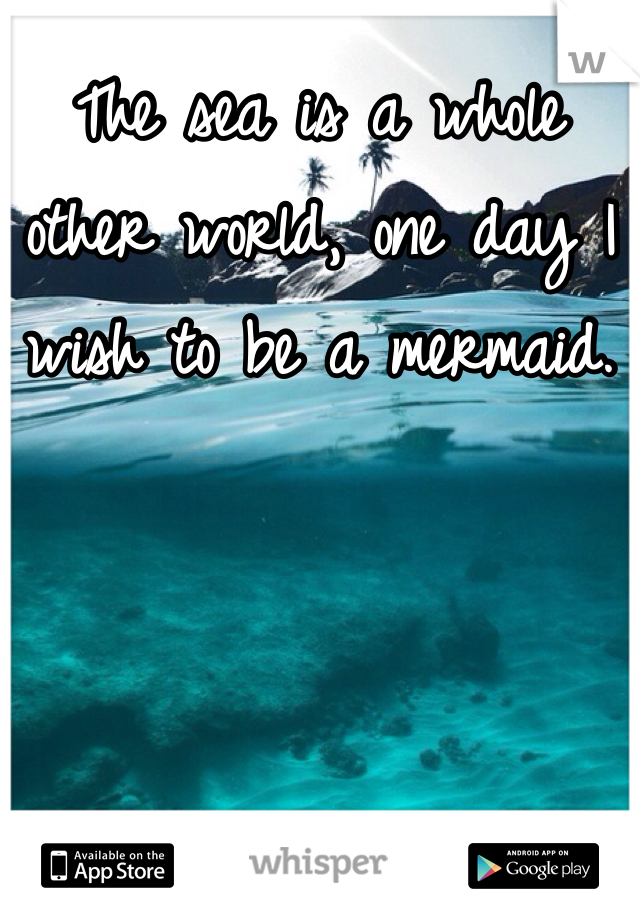 The sea is a whole other world, one day I wish to be a mermaid.
