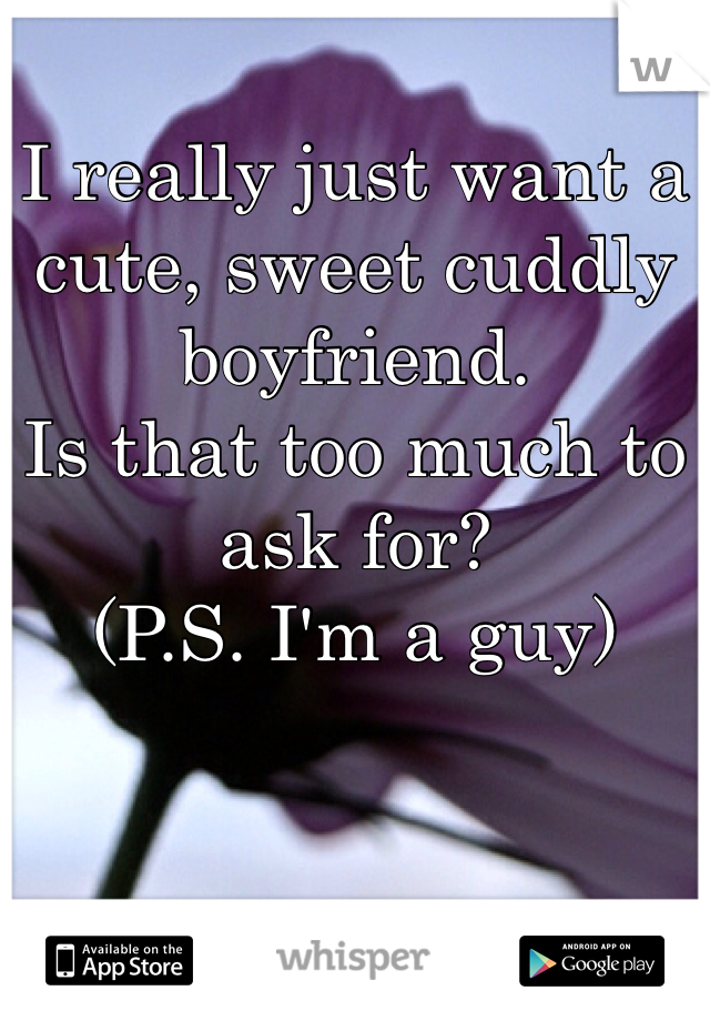 I really just want a cute, sweet cuddly boyfriend. 
Is that too much to ask for?
(P.S. I'm a guy)