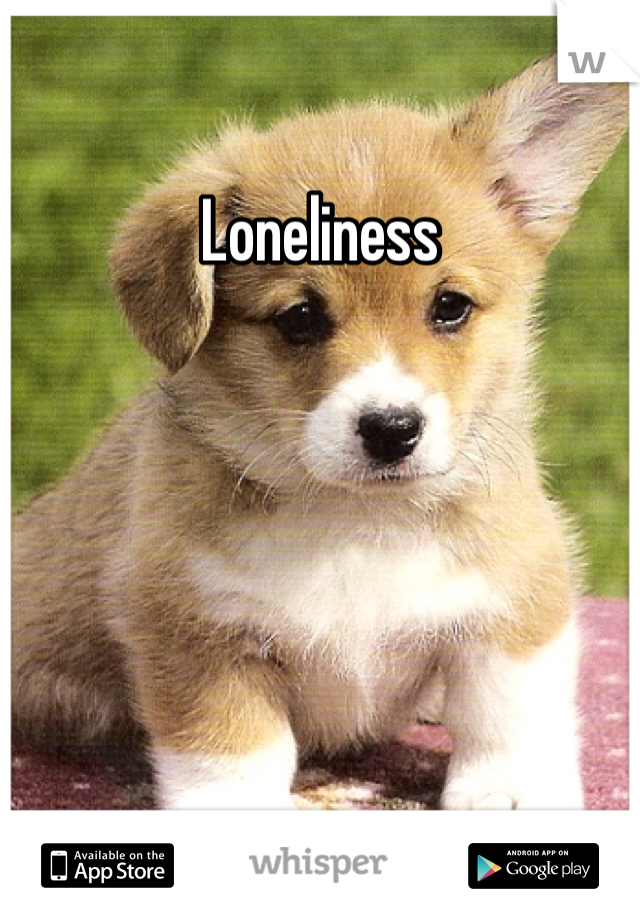 Loneliness 
