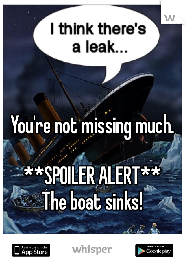 You're not missing much. 

**SPOILER ALERT**
The boat sinks!