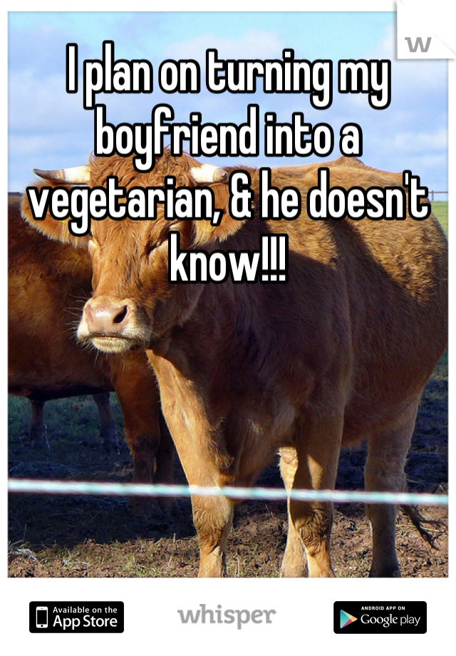 I plan on turning my boyfriend into a vegetarian, & he doesn't know!!!