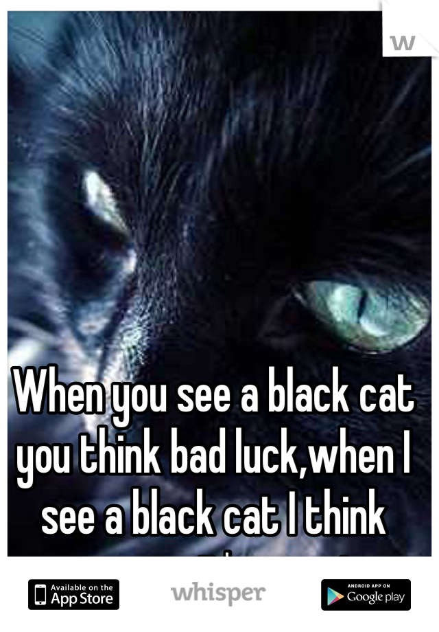 When you see a black cat you think bad luck,when I see a black cat I think awwww it's so cute.