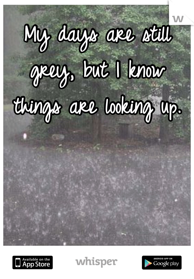 My days are still grey, but I know things are looking up.