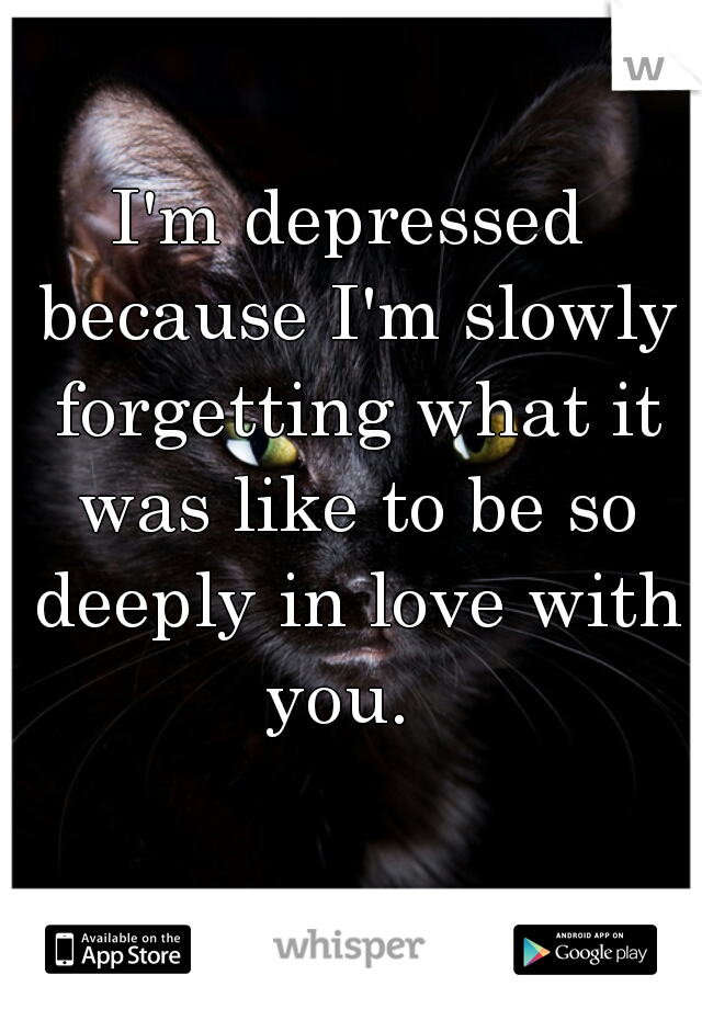 I'm depressed because I'm slowly forgetting what it was like to be so deeply in love with you.  