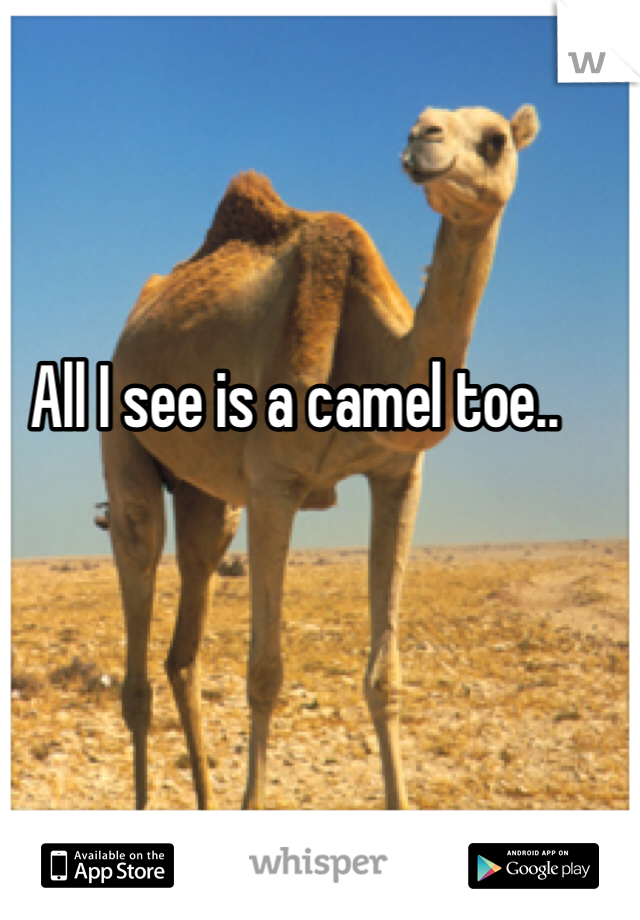 All I see is a camel toe..