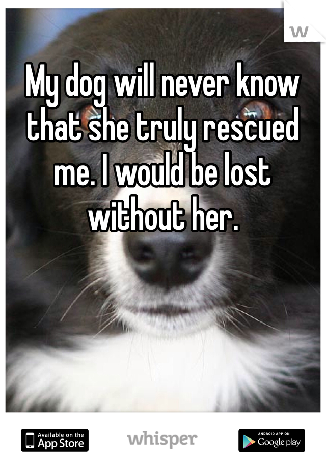 My dog will never know that she truly rescued me. I would be lost without her.