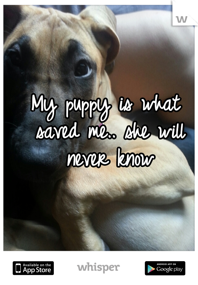 My puppy is what saved me.. she will never know
