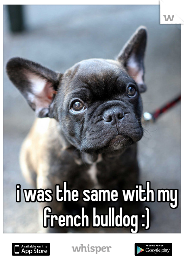 i was the same with my french bulldog :)