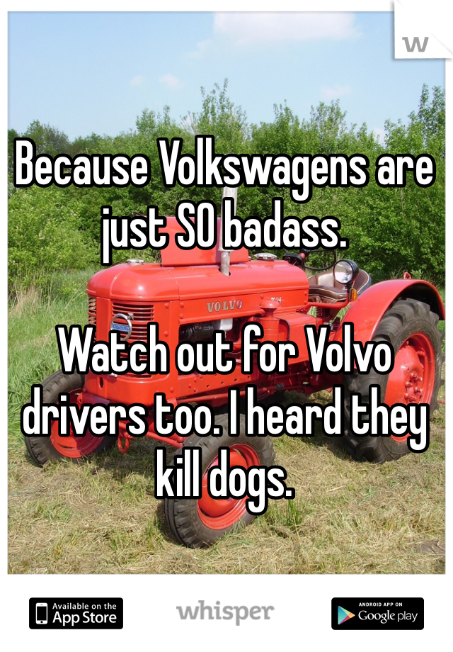 Because Volkswagens are just SO badass. 

Watch out for Volvo drivers too. I heard they kill dogs.