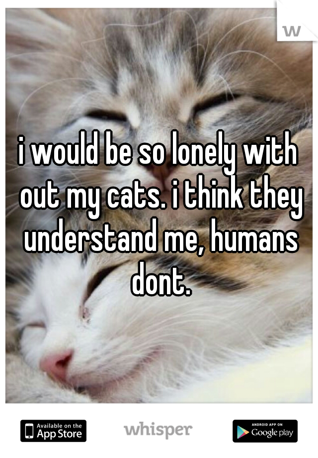 i would be so lonely with out my cats. i think they understand me, humans dont.