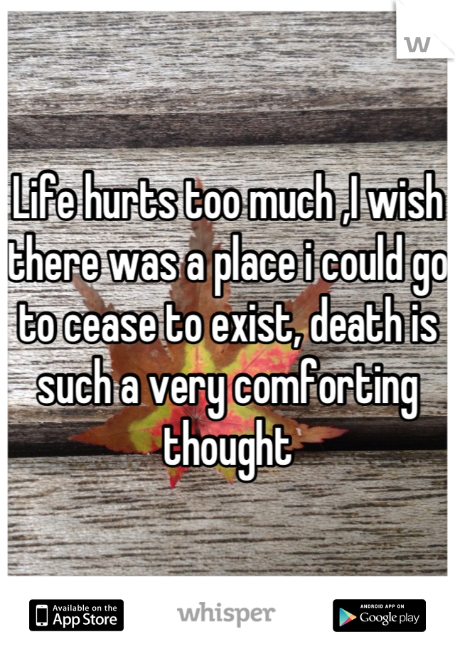 Life hurts too much ,I wish there was a place i could go to cease to exist, death is such a very comforting thought
