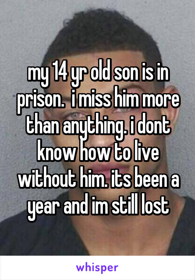 my 14 yr old son is in prison.  i miss him more than anything. i dont know how to live without him. its been a year and im still lost