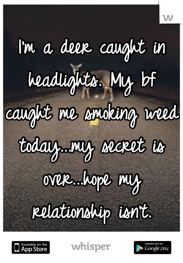 I'm a deer caught in headlights. My bf caught me smoking weed today...my secret is over...hope my relationship isn't.