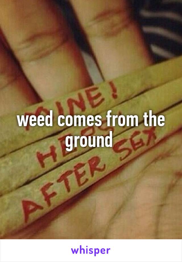 weed comes from the ground 