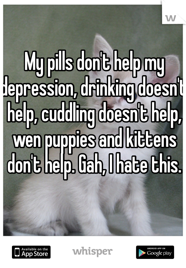 My pills don't help my depression, drinking doesn't help, cuddling doesn't help, wen puppies and kittens don't help. Gah, I hate this. 
