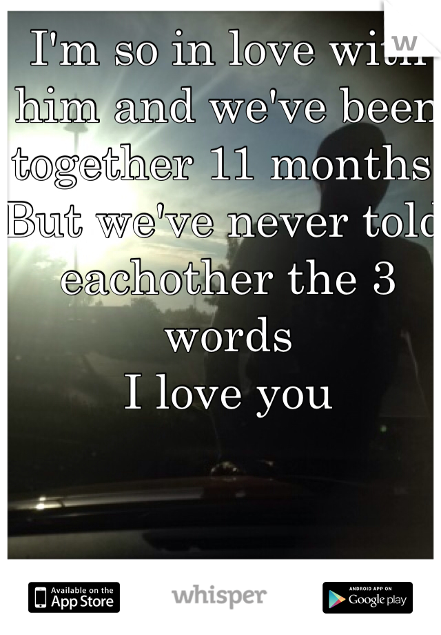 I'm so in love with him and we've been together 11 months, But we've never told eachother the 3 words
I love you 