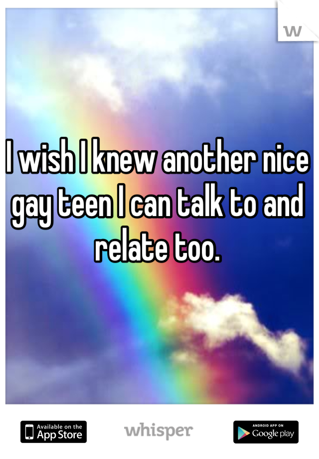 I wish I knew another nice gay teen I can talk to and relate too.