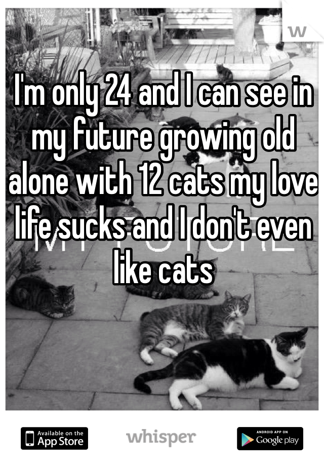 I'm only 24 and I can see in my future growing old alone with 12 cats my love life sucks and I don't even like cats 