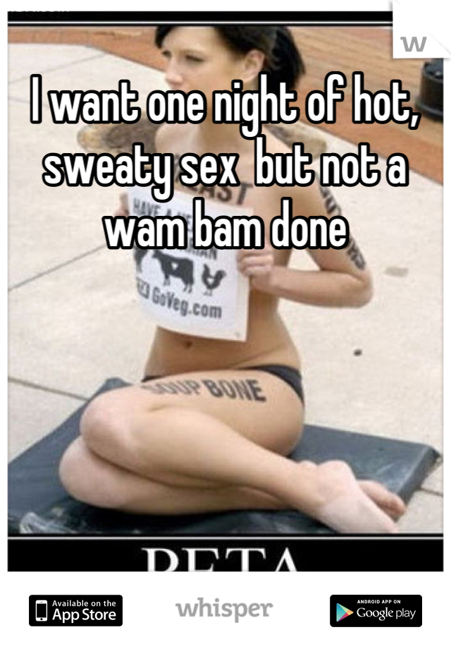 I want one night of hot, sweaty sex  but not a wam bam done