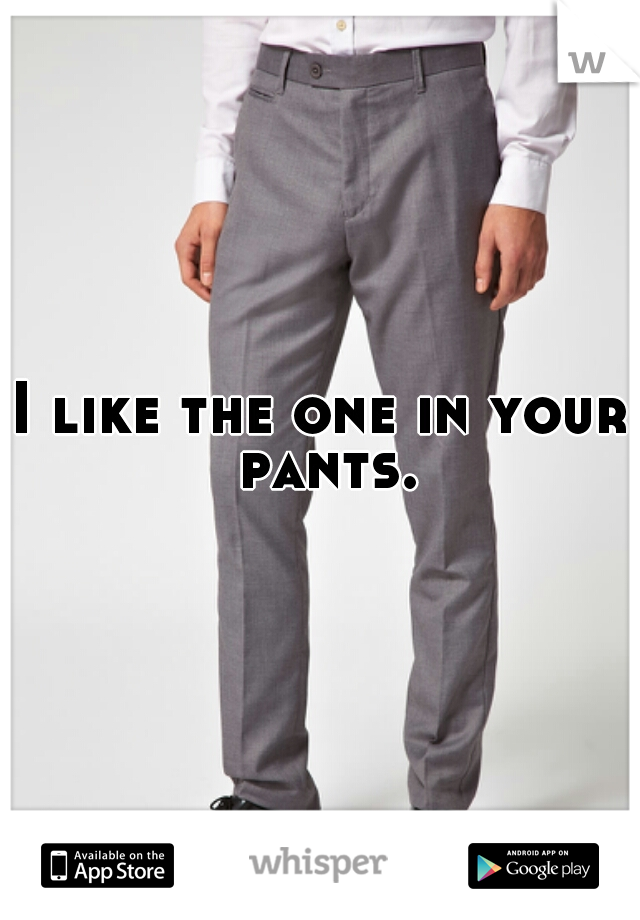 I like the one in your pants.