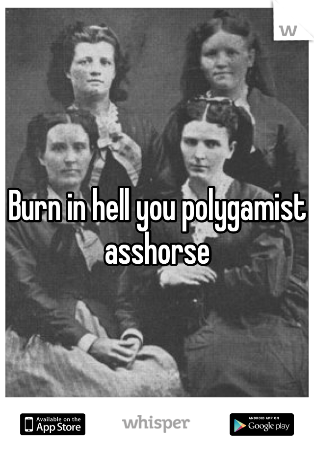 Burn in hell you polygamist asshorse