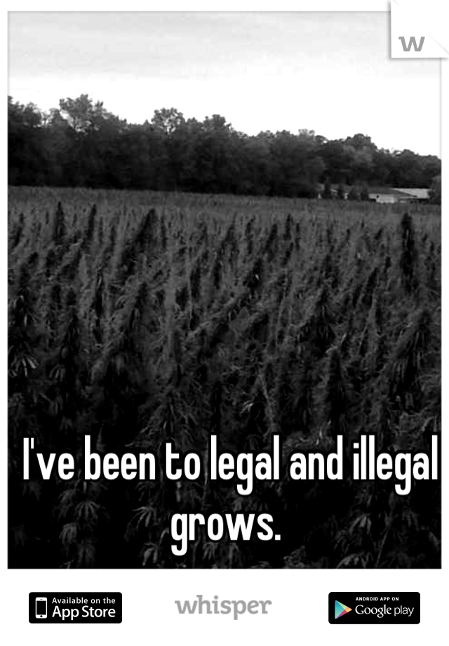 I've been to legal and illegal grows. 