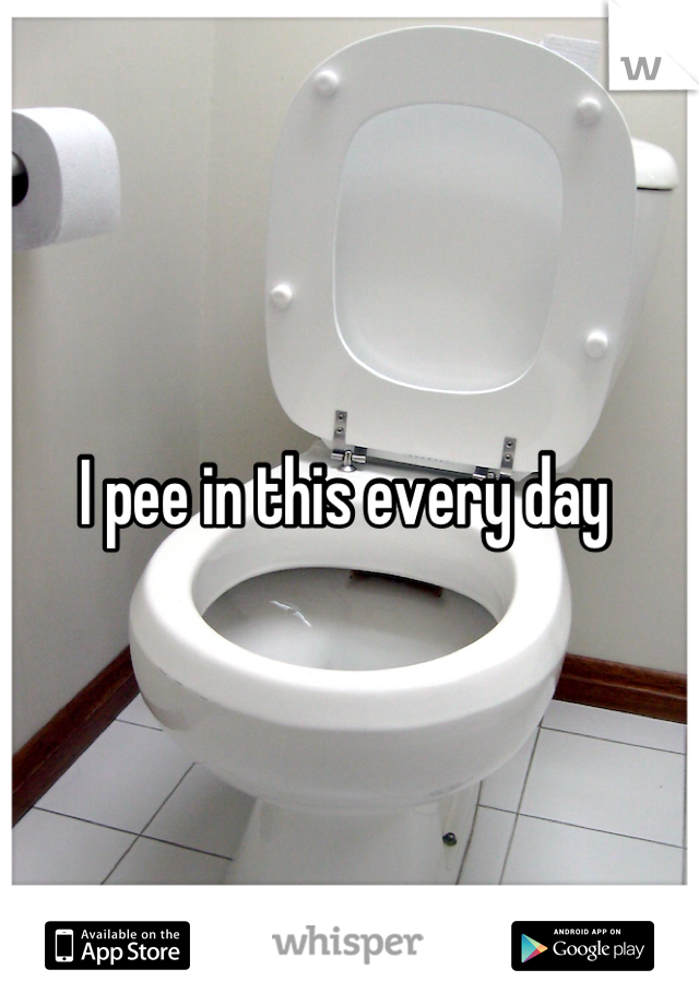 I pee in this every day 