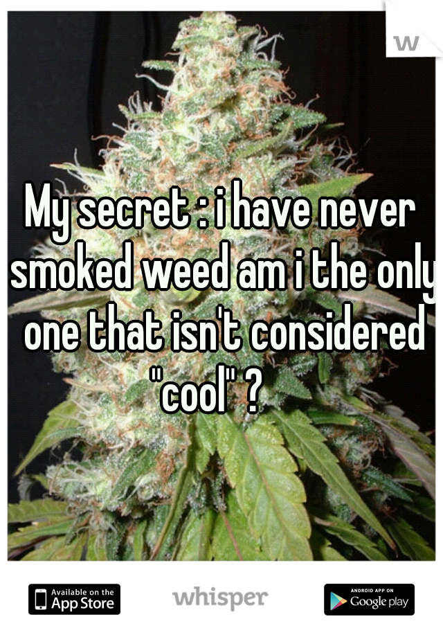 My secret : i have never smoked weed am i the only one that isn't considered "cool" ?    