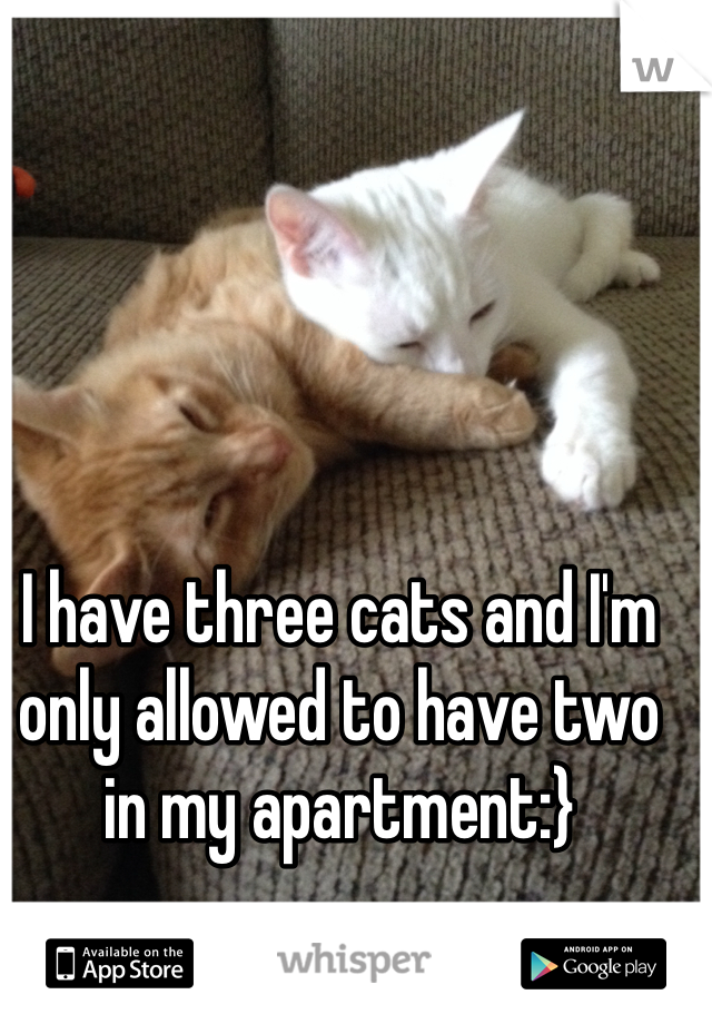 I have three cats and I'm only allowed to have two in my apartment:}
