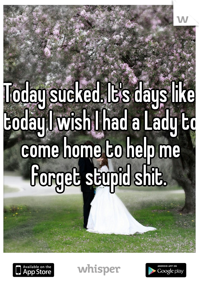 Today sucked. It's days like today I wish I had a Lady to come home to help me forget stupid shit. 