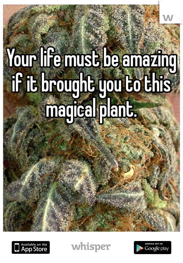 Your life must be amazing if it brought you to this magical plant.