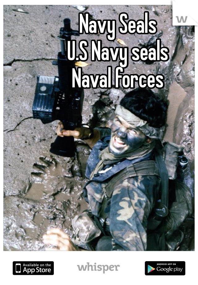 Navy Seals 
U.S Navy seals
Naval forces
