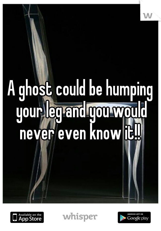 A ghost could be humping your leg and you would never even know it!! 