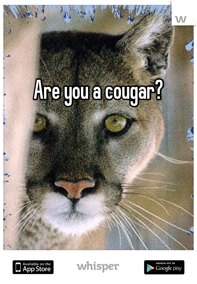 Are you a cougar? 