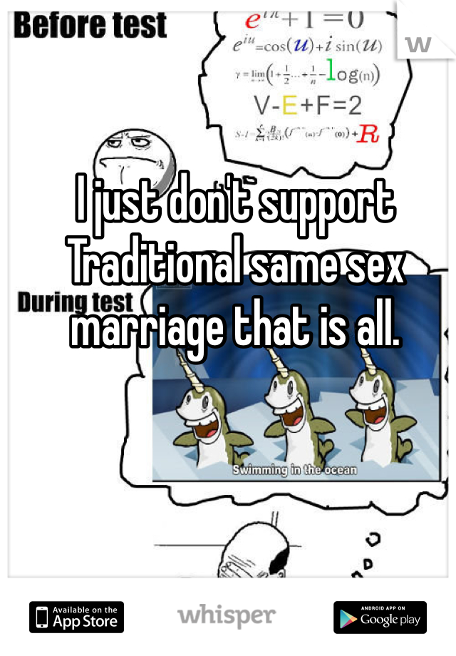 I just don't support Traditional same sex marriage that is all.  