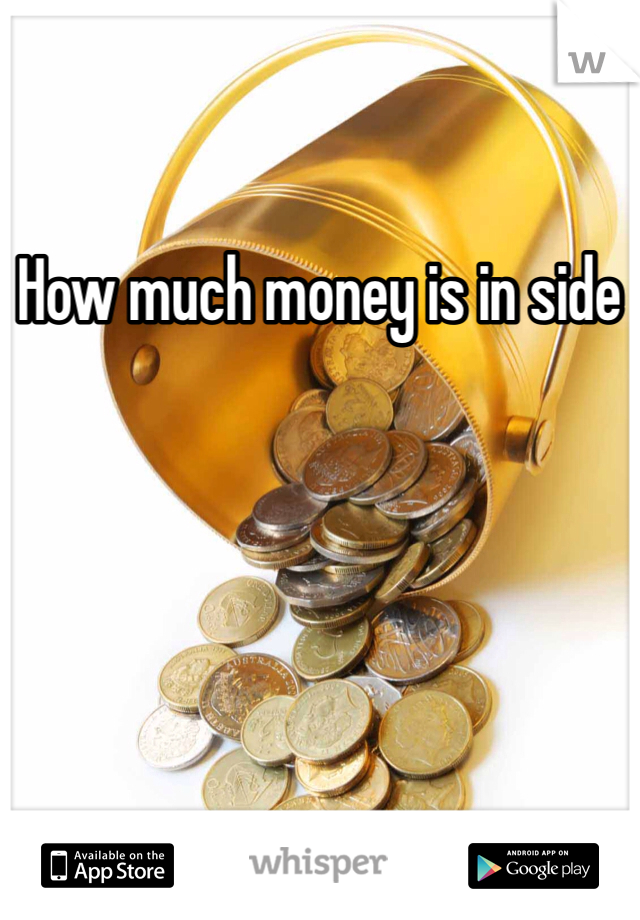 How much money is in side