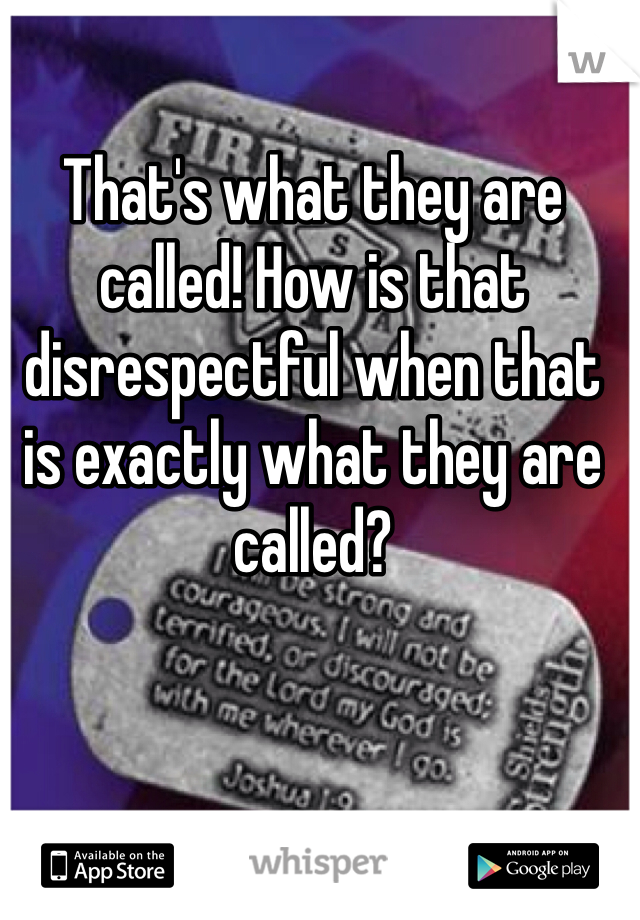 That's what they are called! How is that disrespectful when that is exactly what they are called? 