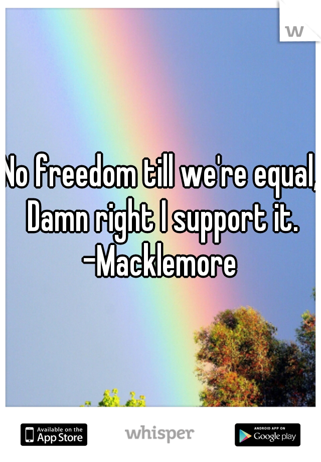 No freedom till we're equal, Damn right I support it.
-Macklemore