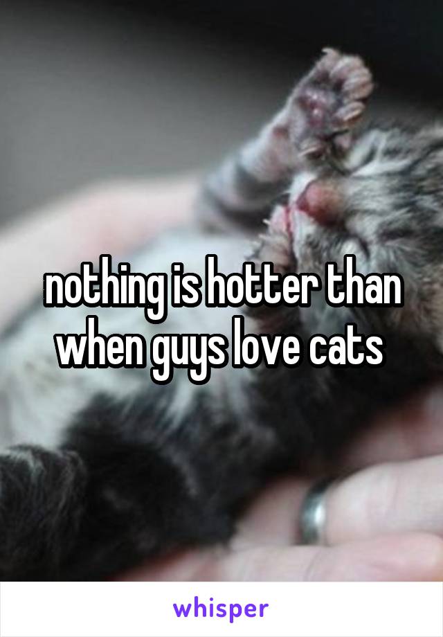 nothing is hotter than when guys love cats 