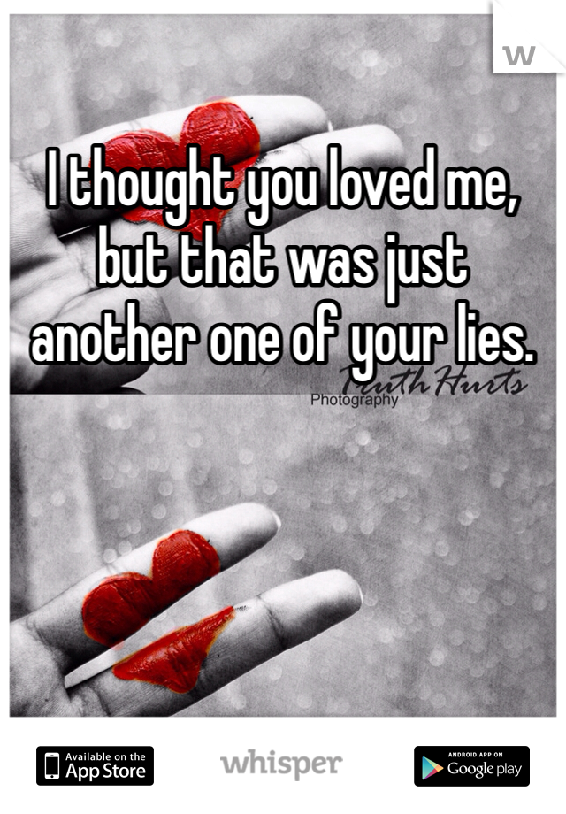 I thought you loved me, but that was just another one of your lies. 