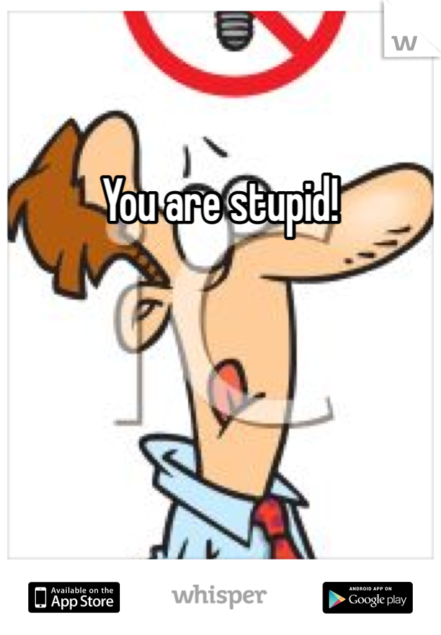 You are stupid!