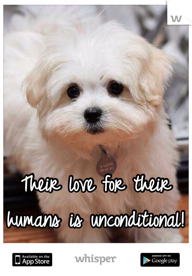 Their love for their humans is unconditional!