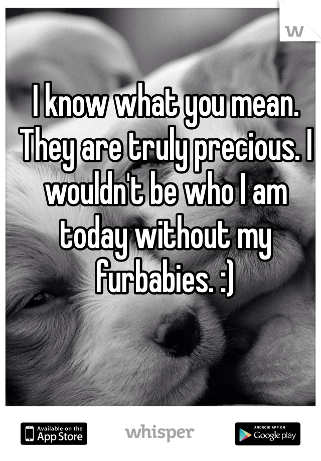 I know what you mean. They are truly precious. I wouldn't be who I am today without my furbabies. :)