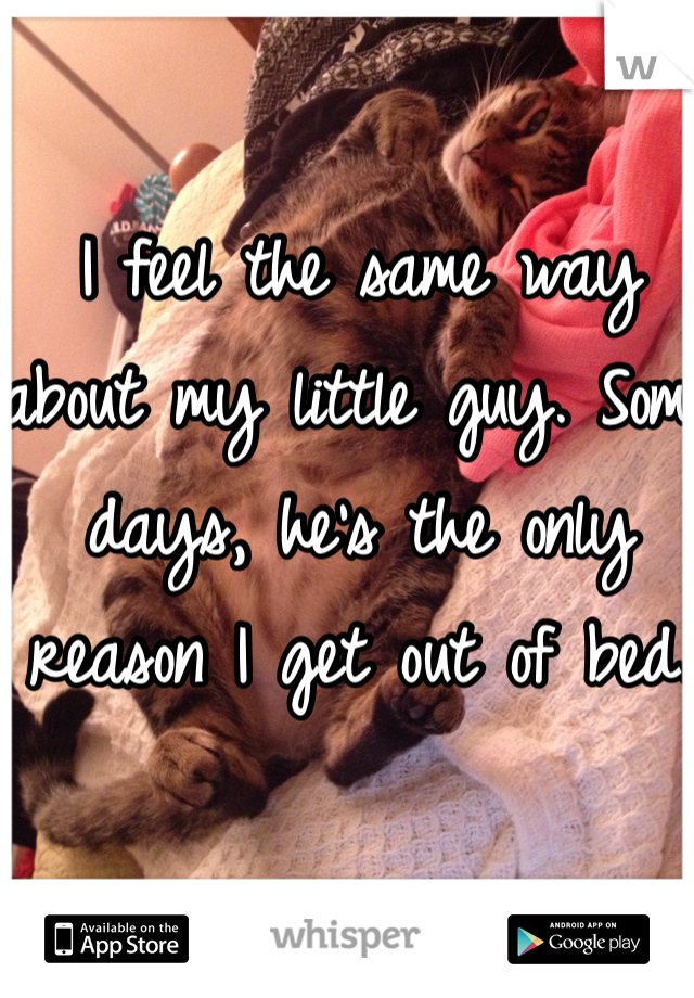 I feel the same way about my little guy. Some days, he's the only reason I get out of bed.