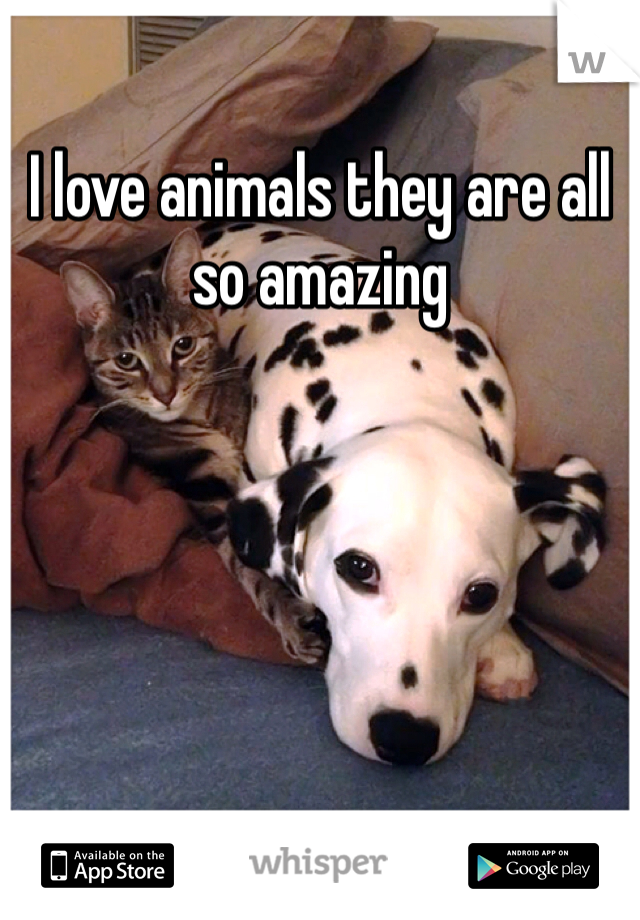 I love animals they are all so amazing

