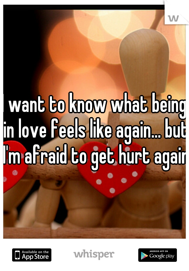 I want to know what being in love feels like again... but I'm afraid to get hurt again 